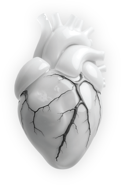 heart